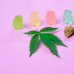 faire l'achat de muscimol CBD et champignon hallucinogène