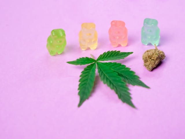 faire l'achat de muscimol CBD et champignon hallucinogène