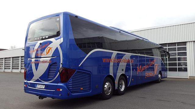 bus pour entreprise
